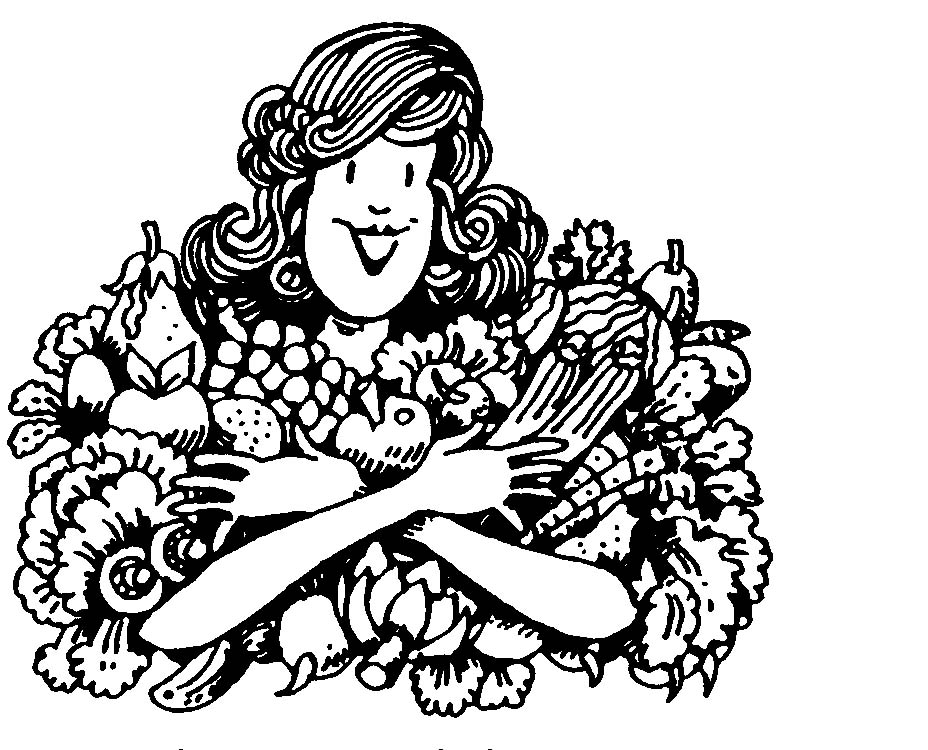 Nutrition During Pregnancy