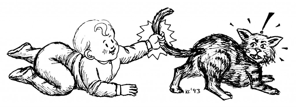 Picking and giving pets