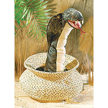 Cobra in Basket