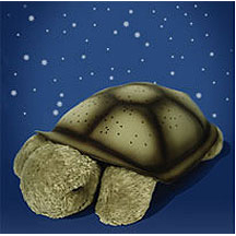 Twilight Turtle
