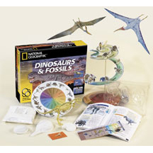 Dinosaurs & Fossils
