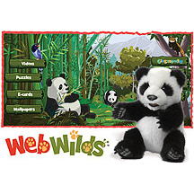 Webwilds Panda Puppet