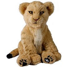 Alive Lion Cub