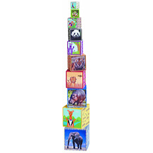 Baby Einstein Discover and Play Stackers