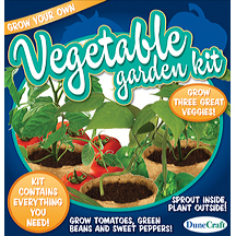 Outdoor Vegetable Garden kit