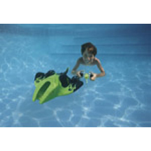 RC Cyber Ray