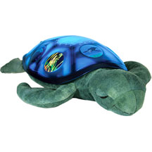 Twilight Sea Turtle