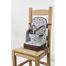 Go Anywhere Booster Seat