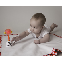 Noggin Stik Development Rattle