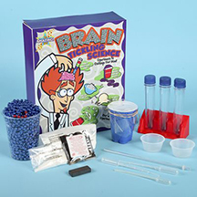 BRAIN TICKLING SCIENCE