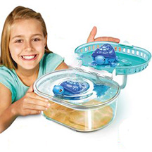 Little Live Pets Lil Turtle Tank