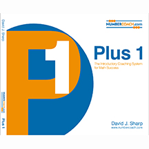 Plus 1